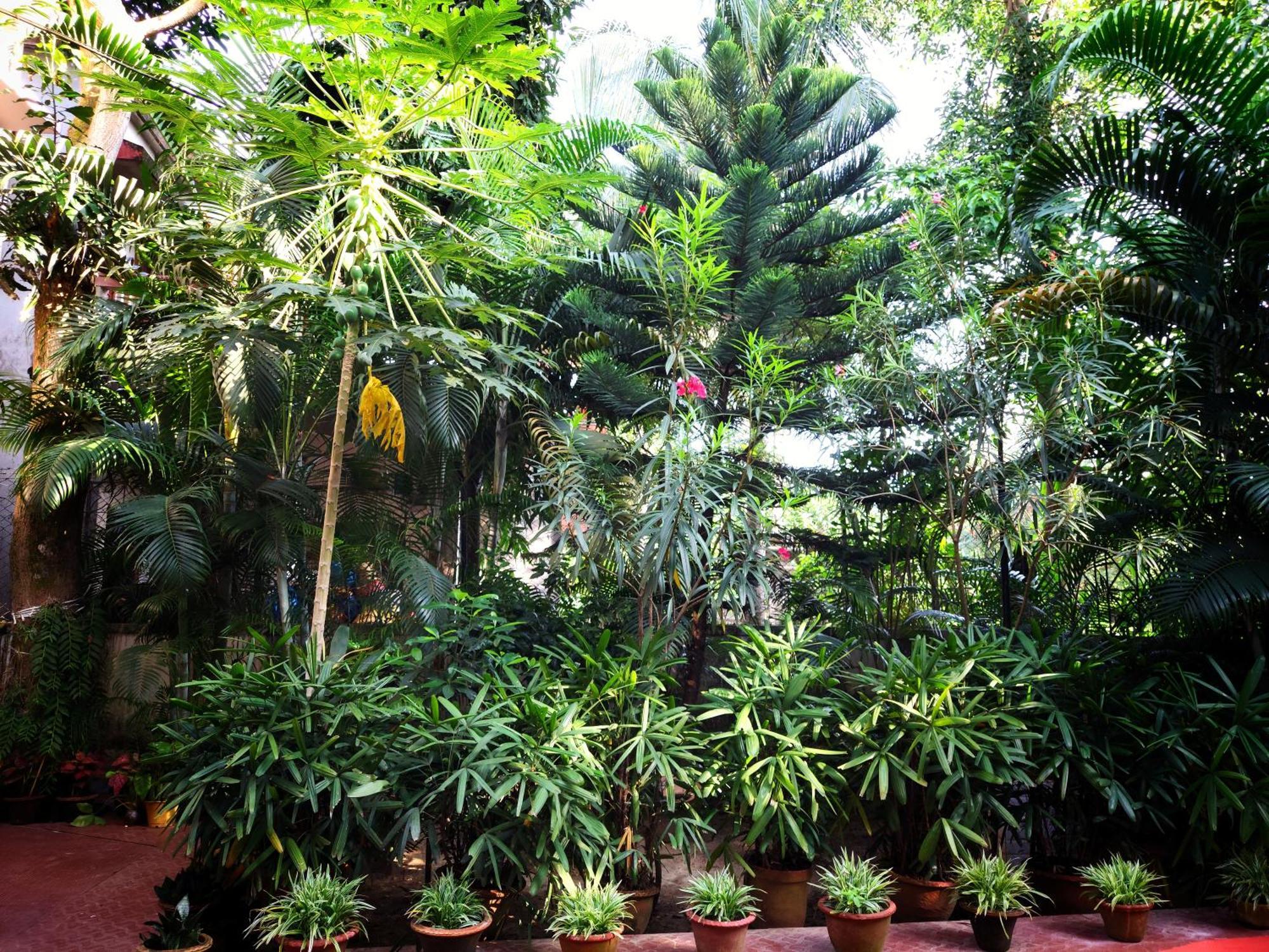 Chaiti Eco Homestay- Santiniketan Bolpur Εξωτερικό φωτογραφία