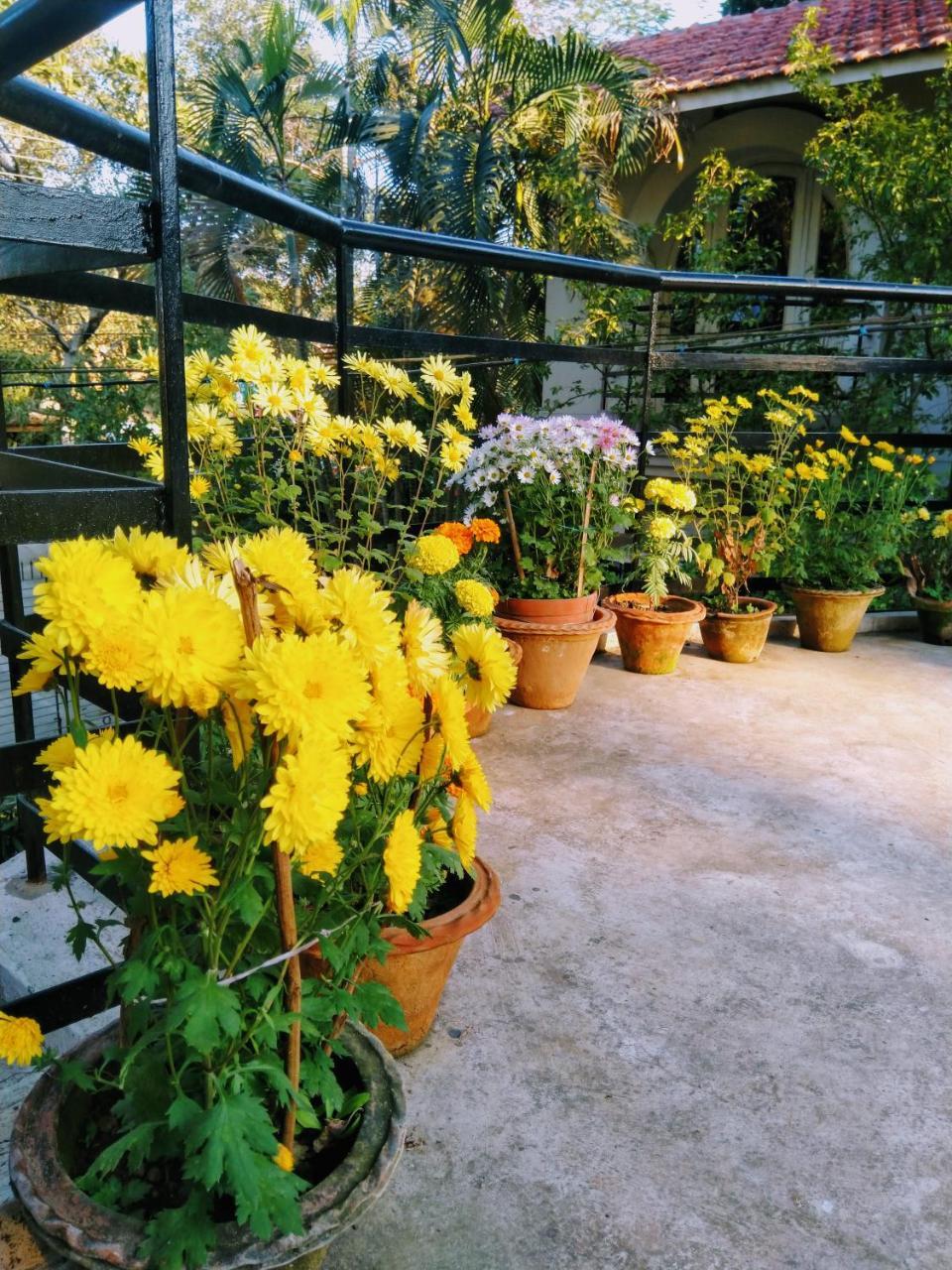 Chaiti Eco Homestay- Santiniketan Bolpur Εξωτερικό φωτογραφία